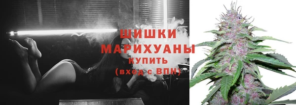 молекула духа Вязники