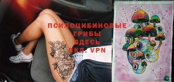 соль ск Вяземский
