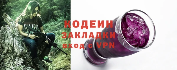 соль ск Вяземский